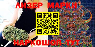 стафф Новозыбков