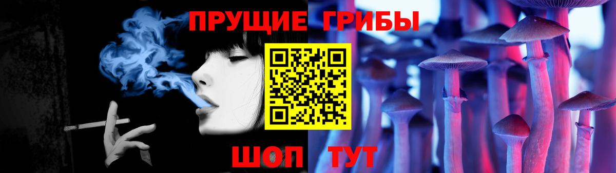 Ртищево  купить наркоту  Вход с VPN  Галлюциногенные грибы MAGIC MUSHROOMS 